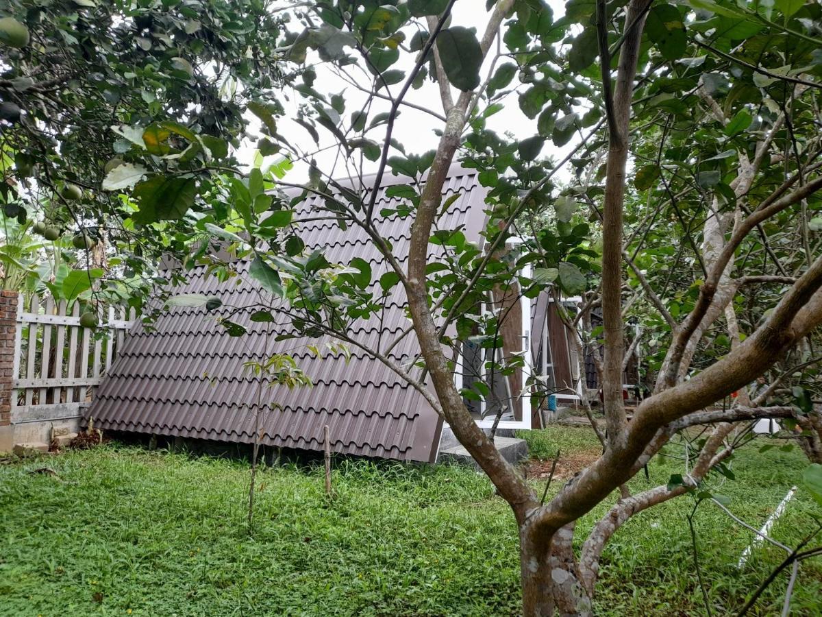 Tam Tinh Vien Homestay هوي المظهر الخارجي الصورة