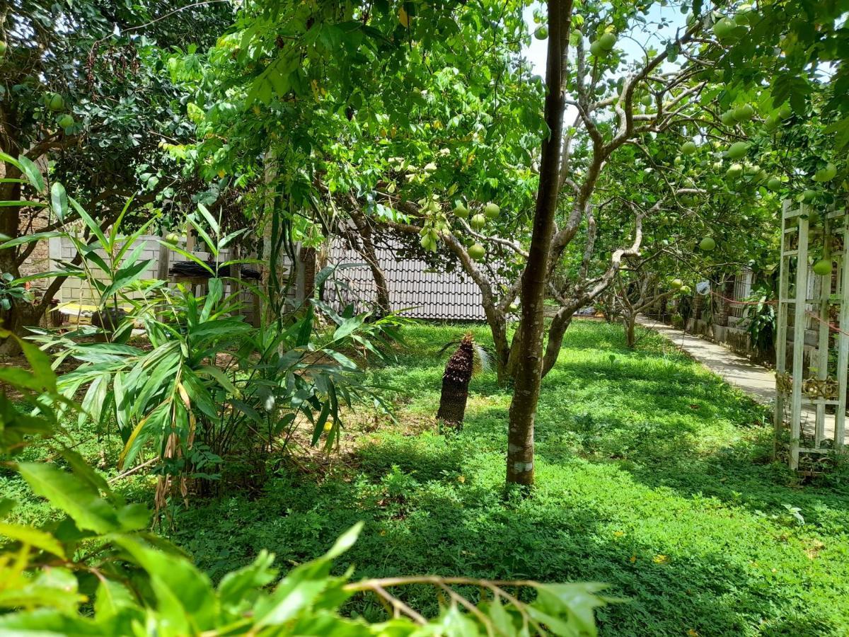 Tam Tinh Vien Homestay هوي المظهر الخارجي الصورة