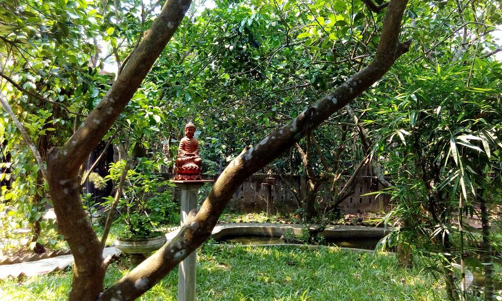 Tam Tinh Vien Homestay هوي المظهر الخارجي الصورة
