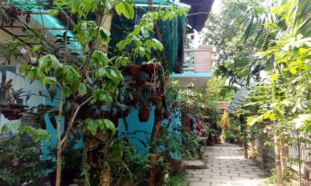 Tam Tinh Vien Homestay هوي المظهر الخارجي الصورة