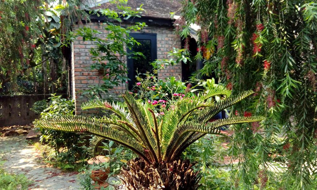 Tam Tinh Vien Homestay هوي المظهر الخارجي الصورة