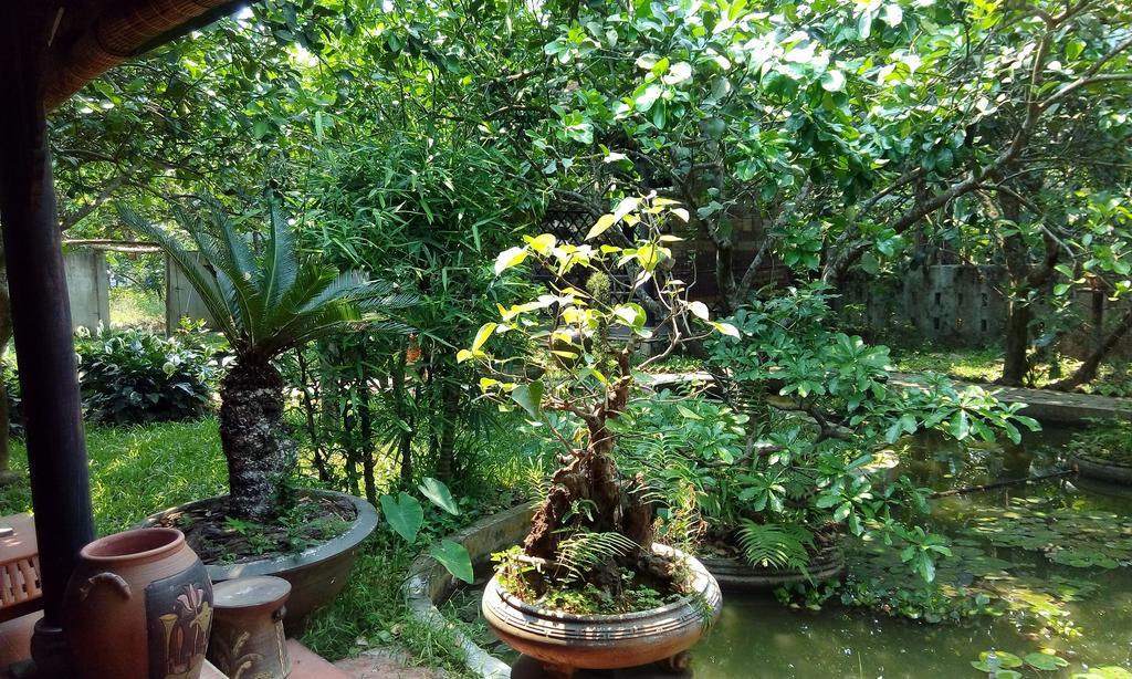 Tam Tinh Vien Homestay هوي المظهر الخارجي الصورة