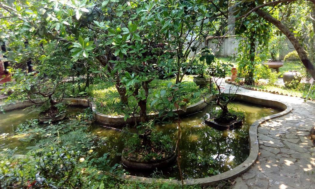 Tam Tinh Vien Homestay هوي المظهر الخارجي الصورة