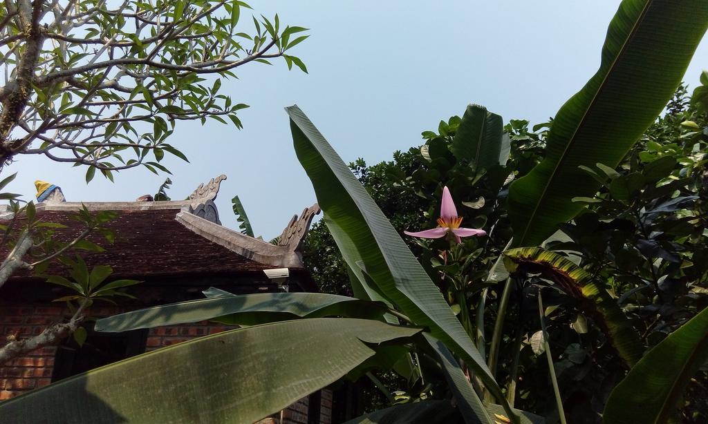 Tam Tinh Vien Homestay هوي المظهر الخارجي الصورة