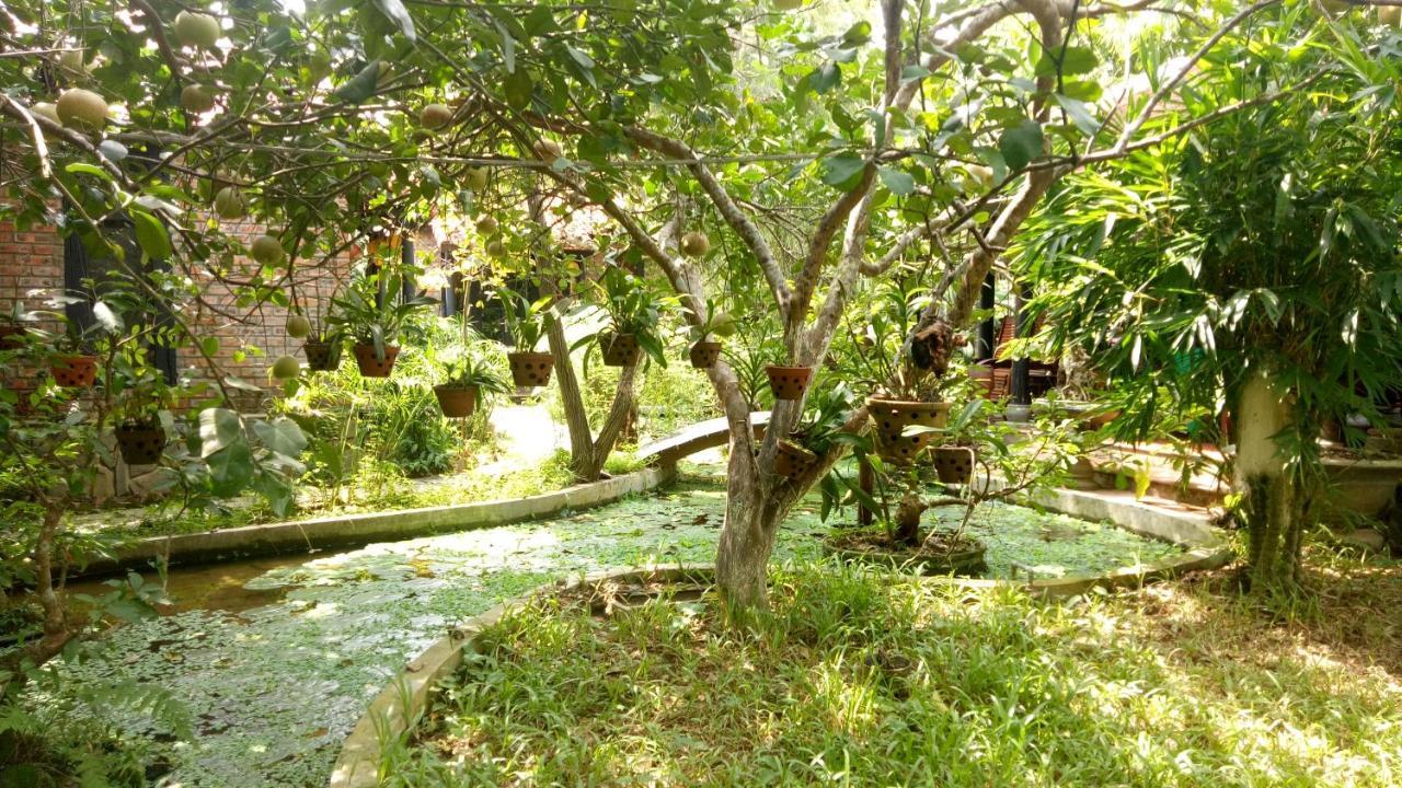 Tam Tinh Vien Homestay هوي المظهر الخارجي الصورة