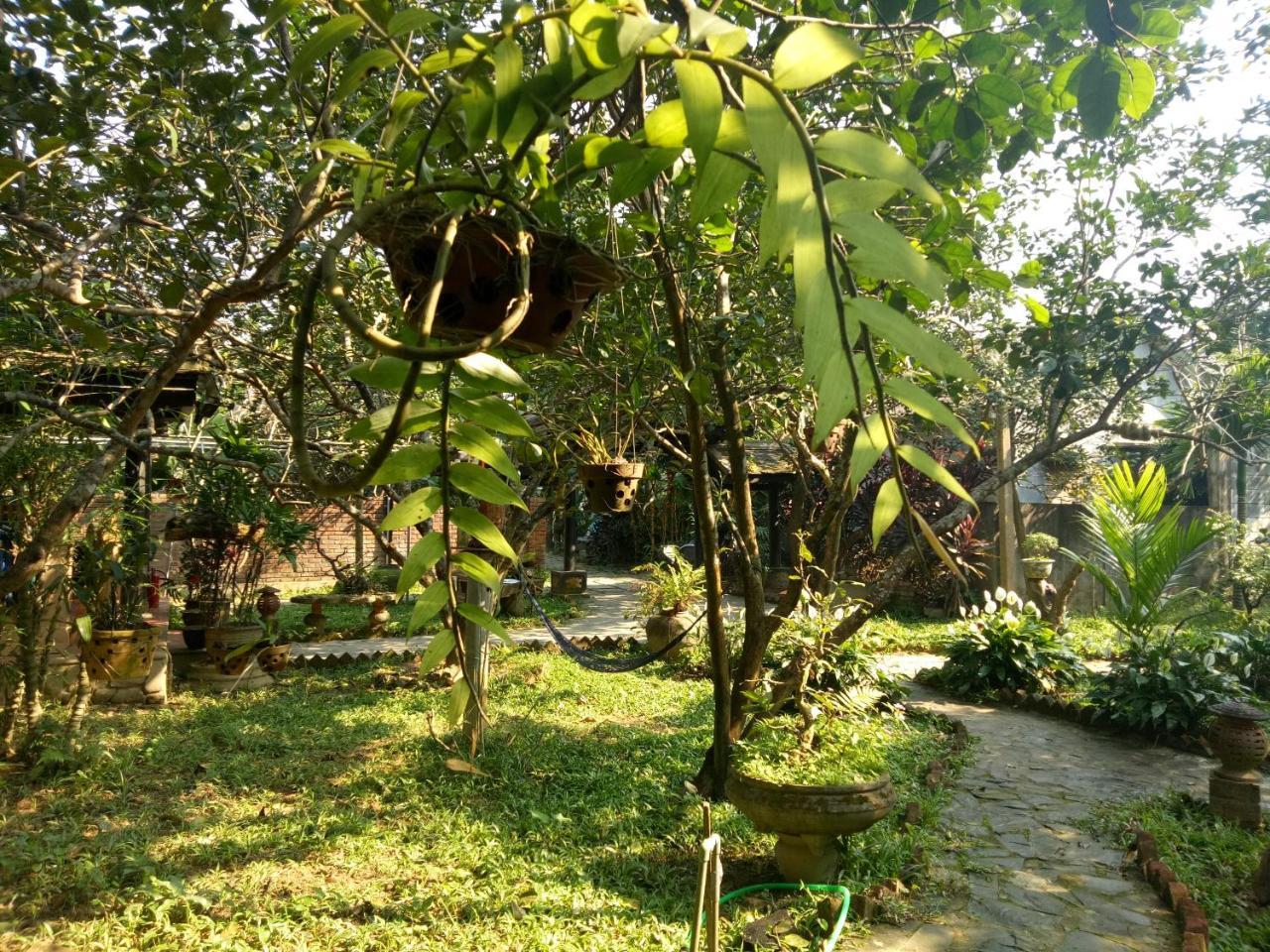 Tam Tinh Vien Homestay هوي المظهر الخارجي الصورة